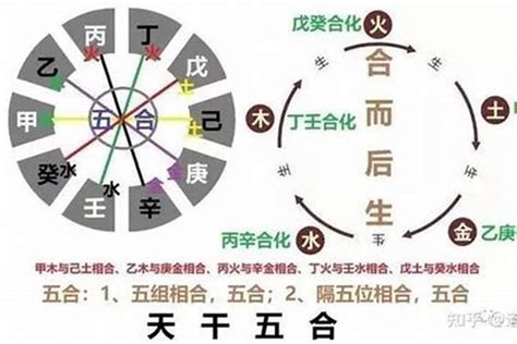 乙木|八字十天干详解——乙木